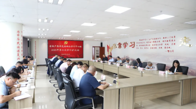 集團(tuán)黨委召開理論學(xué)習(xí)中心組2025年第七次學(xué)習(xí)（擴(kuò)大）會(huì)