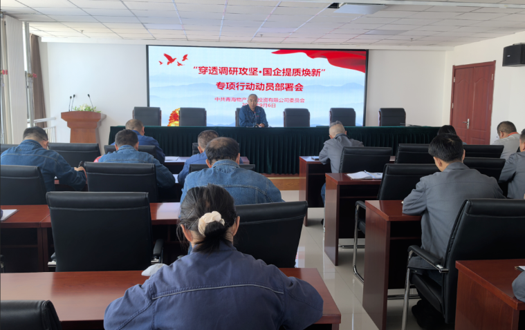 工投公司黨委召開(kāi)“穿透調(diào)研攻堅(jiān)·國(guó)企提質(zhì)煥新”專項(xiàng)行動(dòng)動(dòng)員部署會(huì)