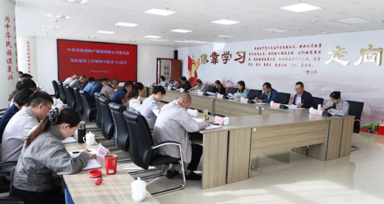 省物產(chǎn)集團黨委召開黨的建設工作領(lǐng)導小組（擴大）會議